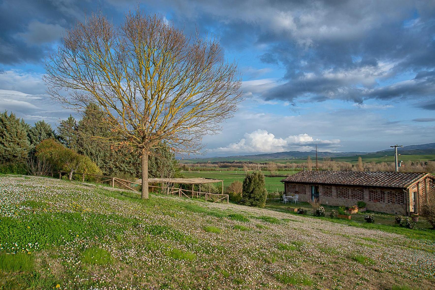 Agriturismo Le Sorbelle D'Orcia Con Piscina 피엔자 외부 사진